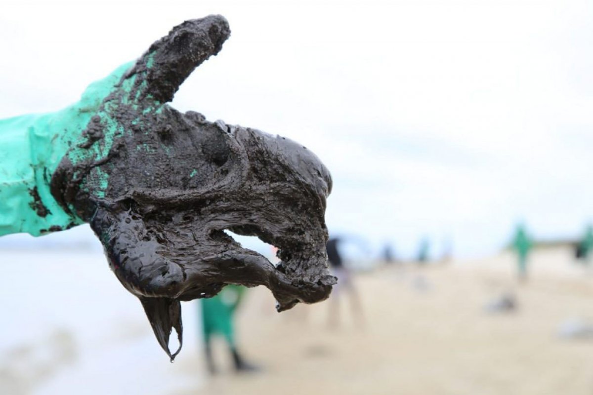 Manchas de óleo: União e Ibama deverão adotar medidas de prevenção em praias de AL e PE