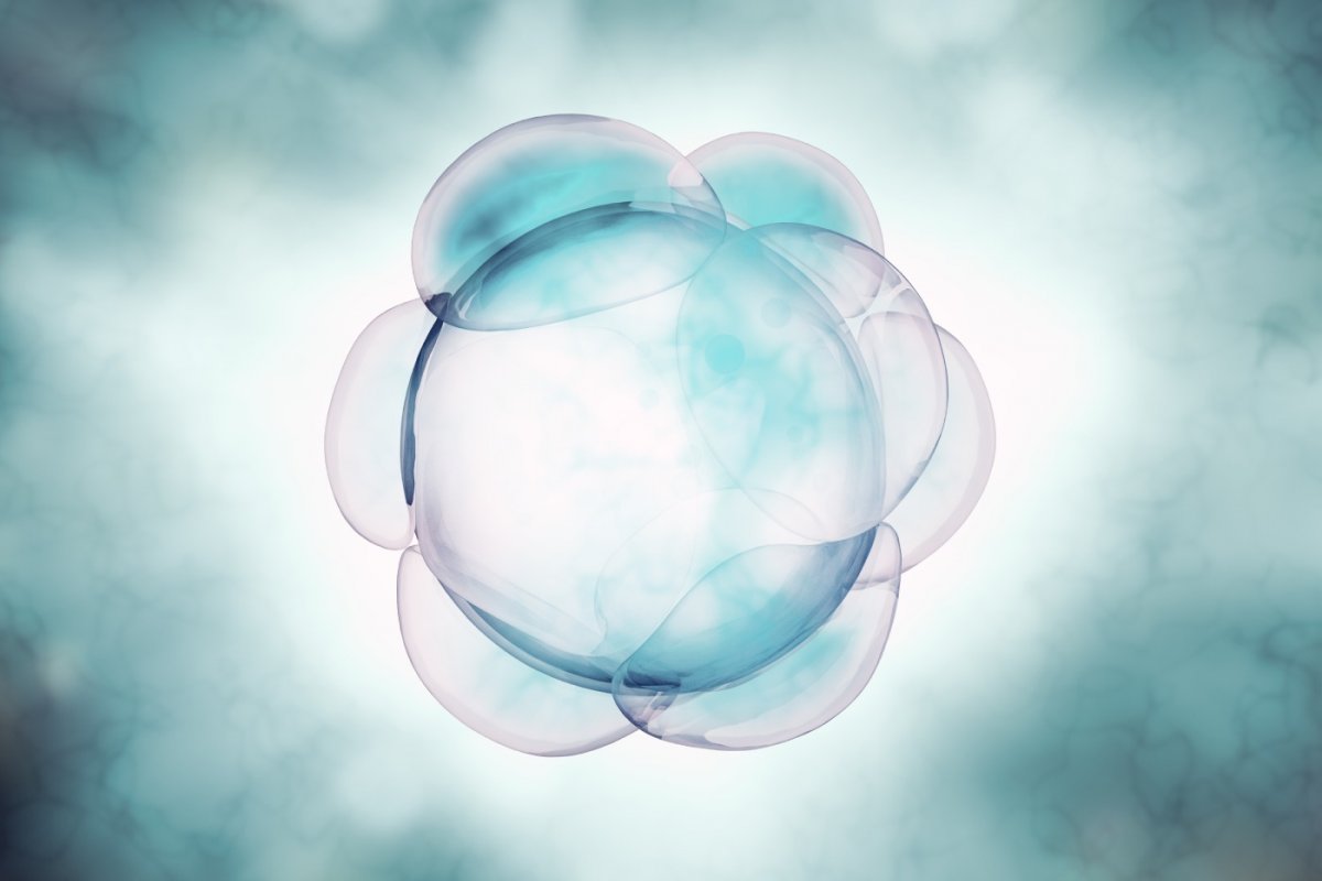 Grupo IVI tem três trabalhos premiados no congresso da Sociedade para Pesquisa Reprodutiva nos Estados Unidos