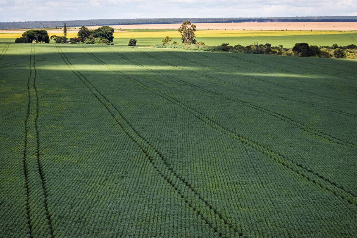 Ipea reduz projeção de alta para PIB Agropecuário de 2022 de 2,8% para 1%