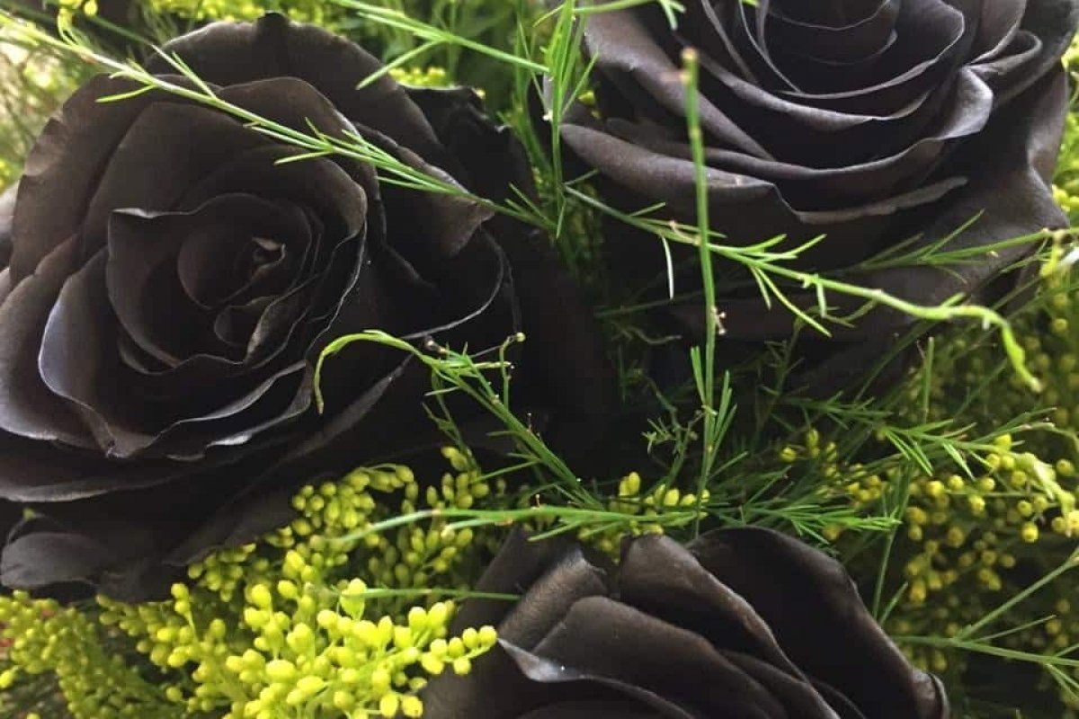 Floricultura lança buquê de rosas pretas