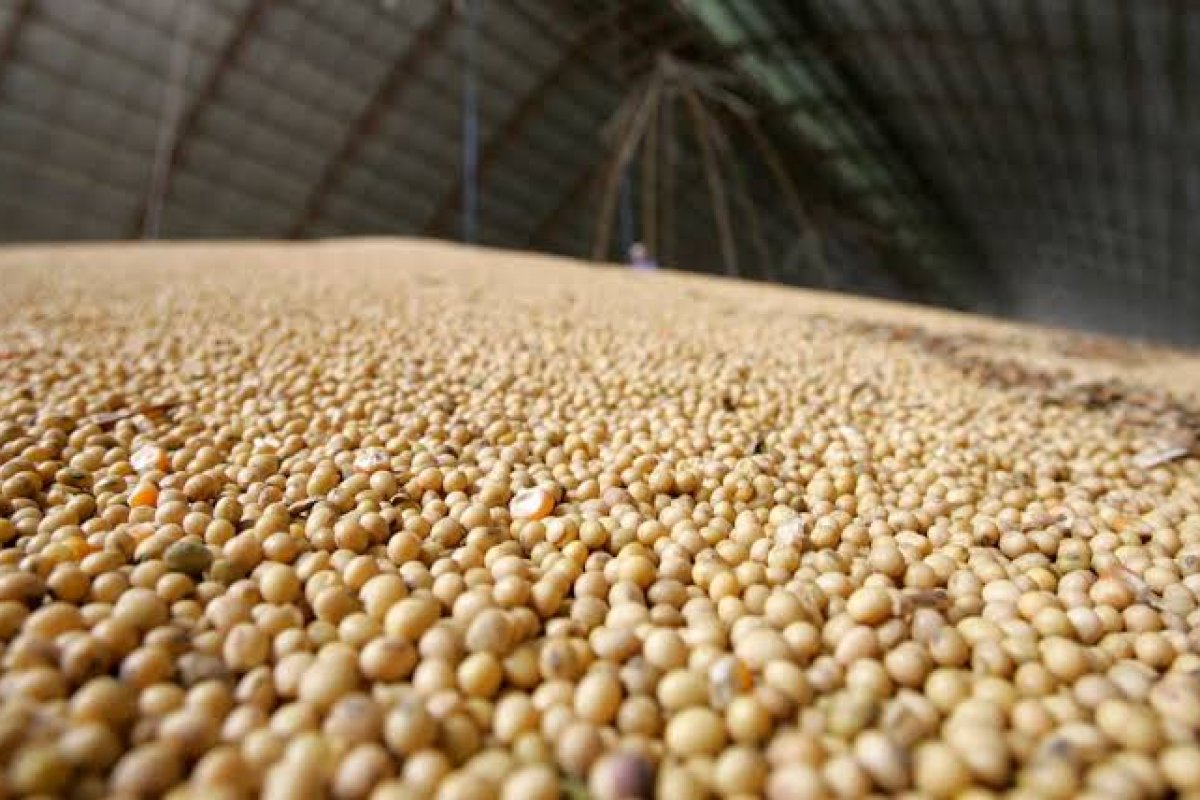 BC projeta melhora na indústria e serviços em 2022