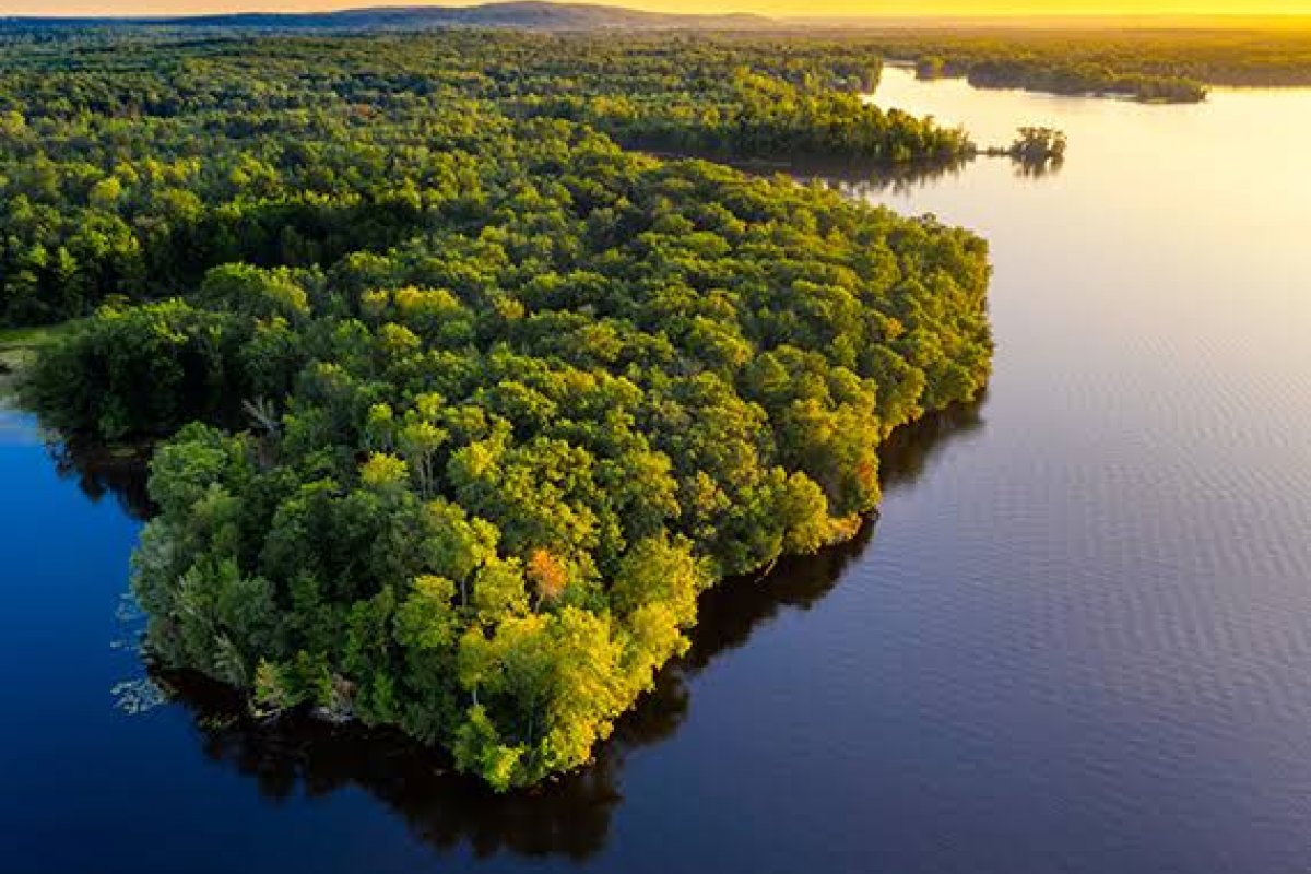 Bolsa para pesquisas sobre a Amazônia recebe inscrições