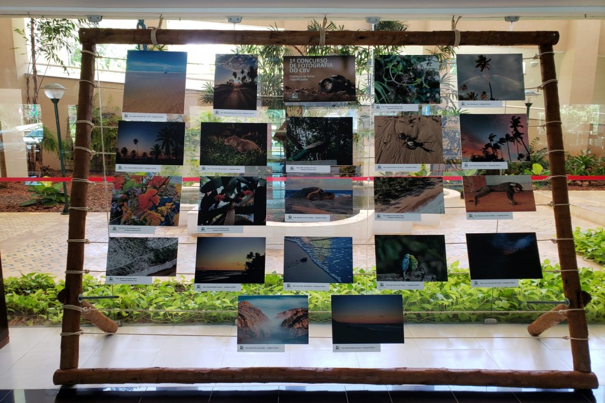 Exposição aberta ao público revela as belezas naturais de Busca Vida!