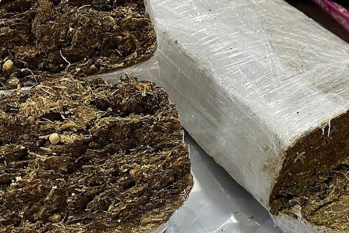 Mais de 14 toneladas de maconha foram apreendidas nas rodovias que cortam a Bahia em 2021