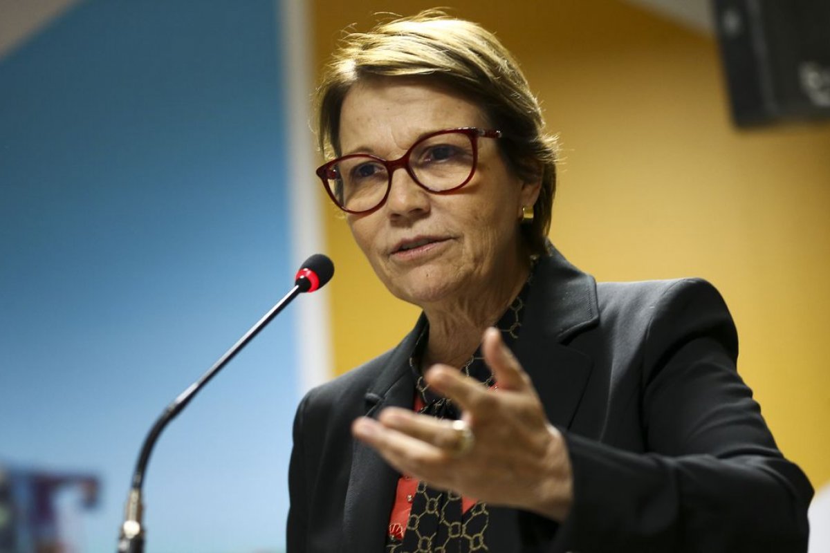 Tereza Cristina anuncia que último dia no Ministério da Agricultura é nesta quarta-feira (30)