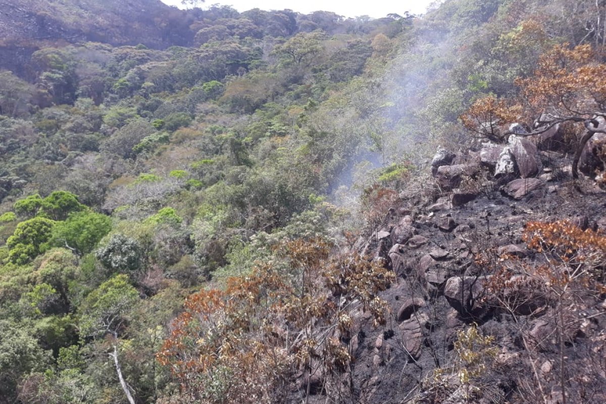 Incêndio em cidades da Chapada Diamantina é controlado por bombeiros; confira quadro atual