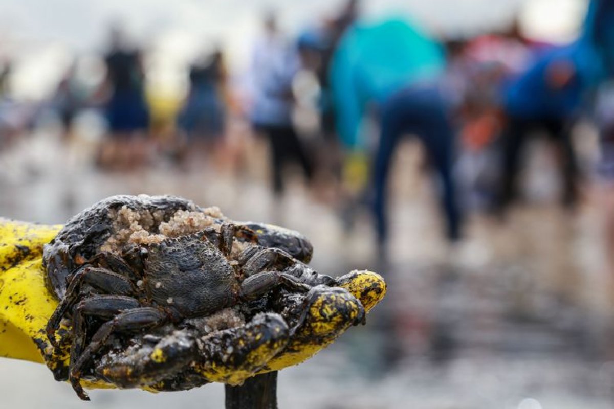 Governo federal pode decretar emergência ambiental por óleo no Nordeste