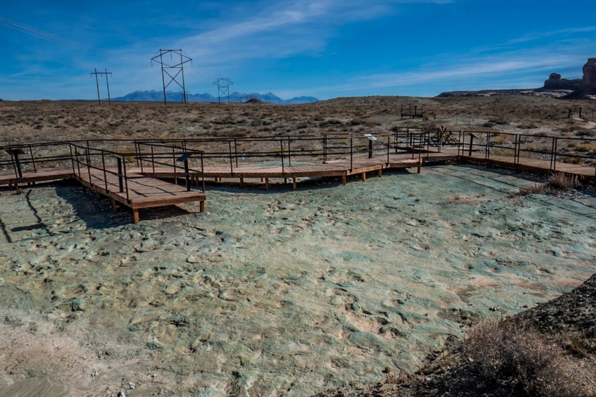 Escavadeira danifica pegadas de dinossauro com 112 milhões de anos