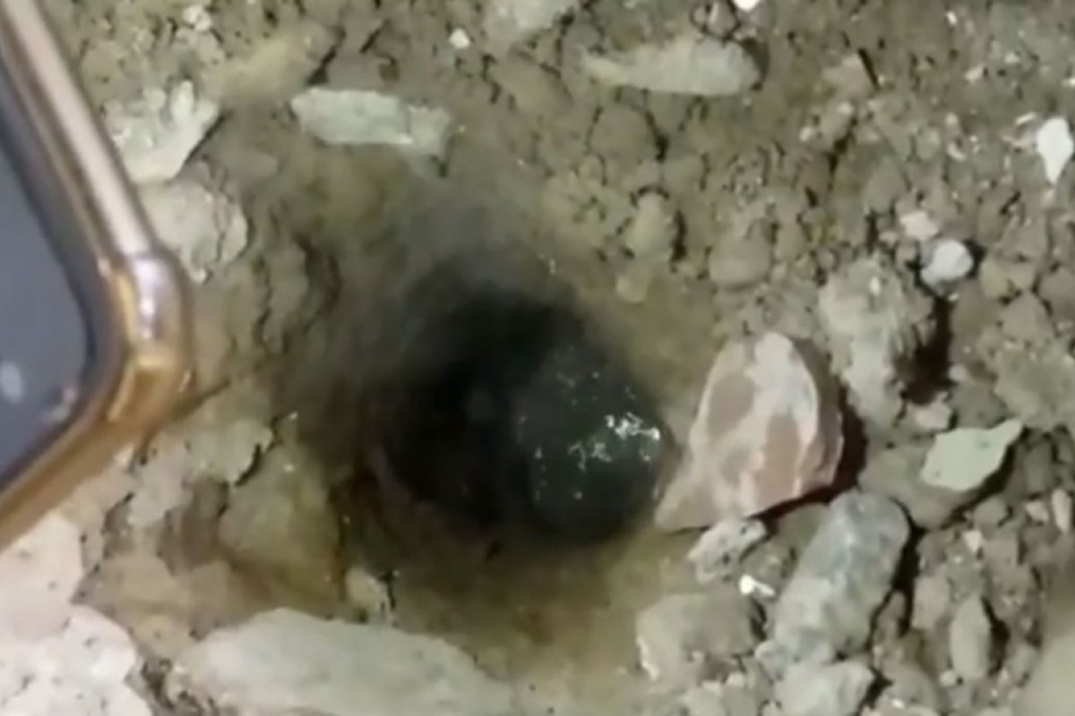 Mulher acha água fervendo 'brotando' em casa após fazer buraco no chão da cozinha