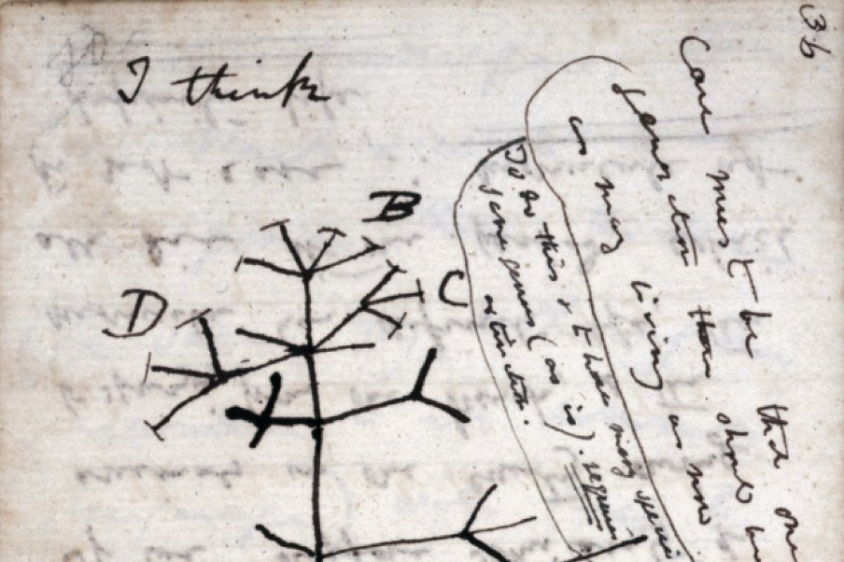 Cadernos desaparecidos de Darwin são devolvidos após 20 anos