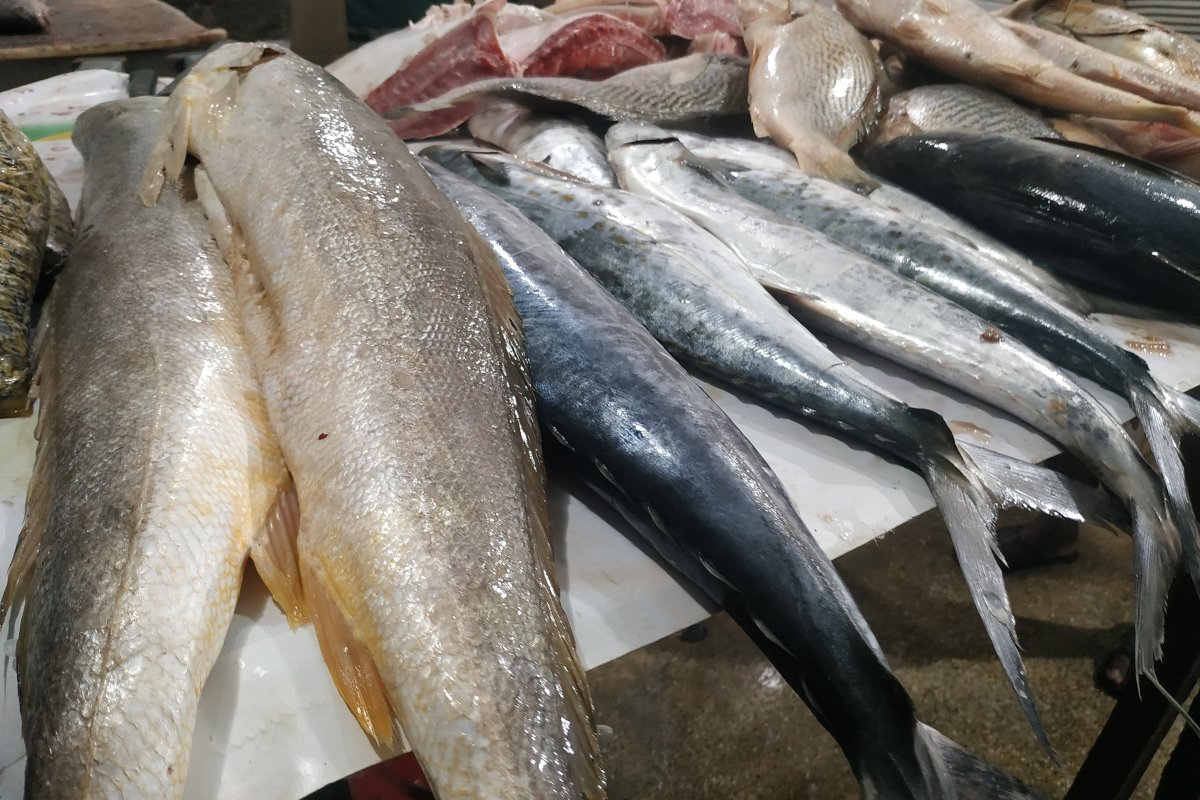 Semana Santa: peixe está até 30% mais caro em 2022