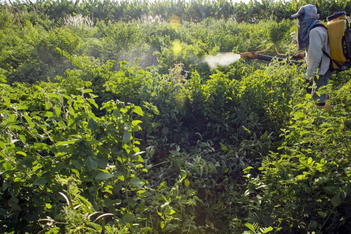 Estado é acionado pelo MP para intensificar fiscalização do uso de agrotóxicos em municípios baianos