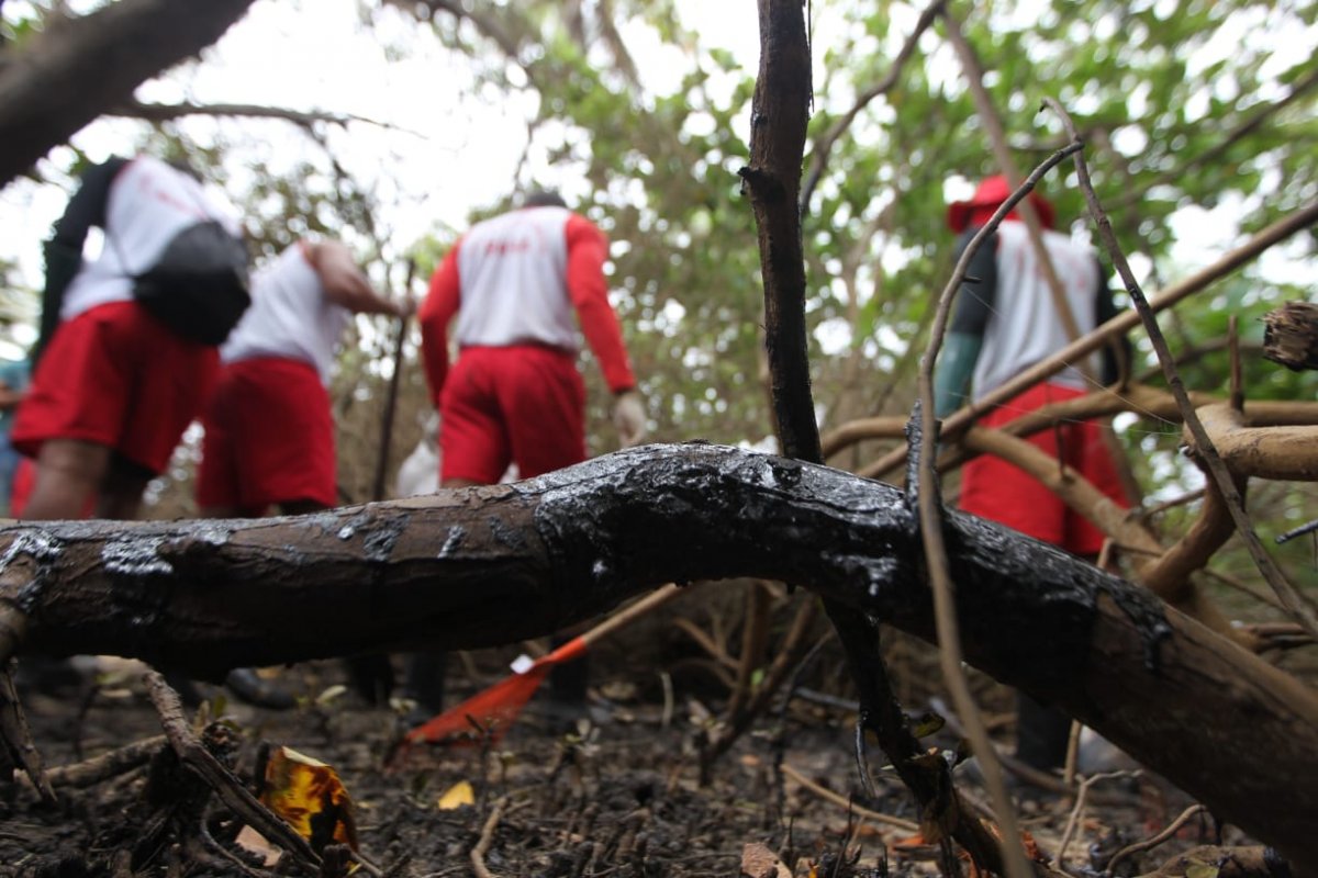 Manchas de óleo chegam a mais três regiões na Bahia