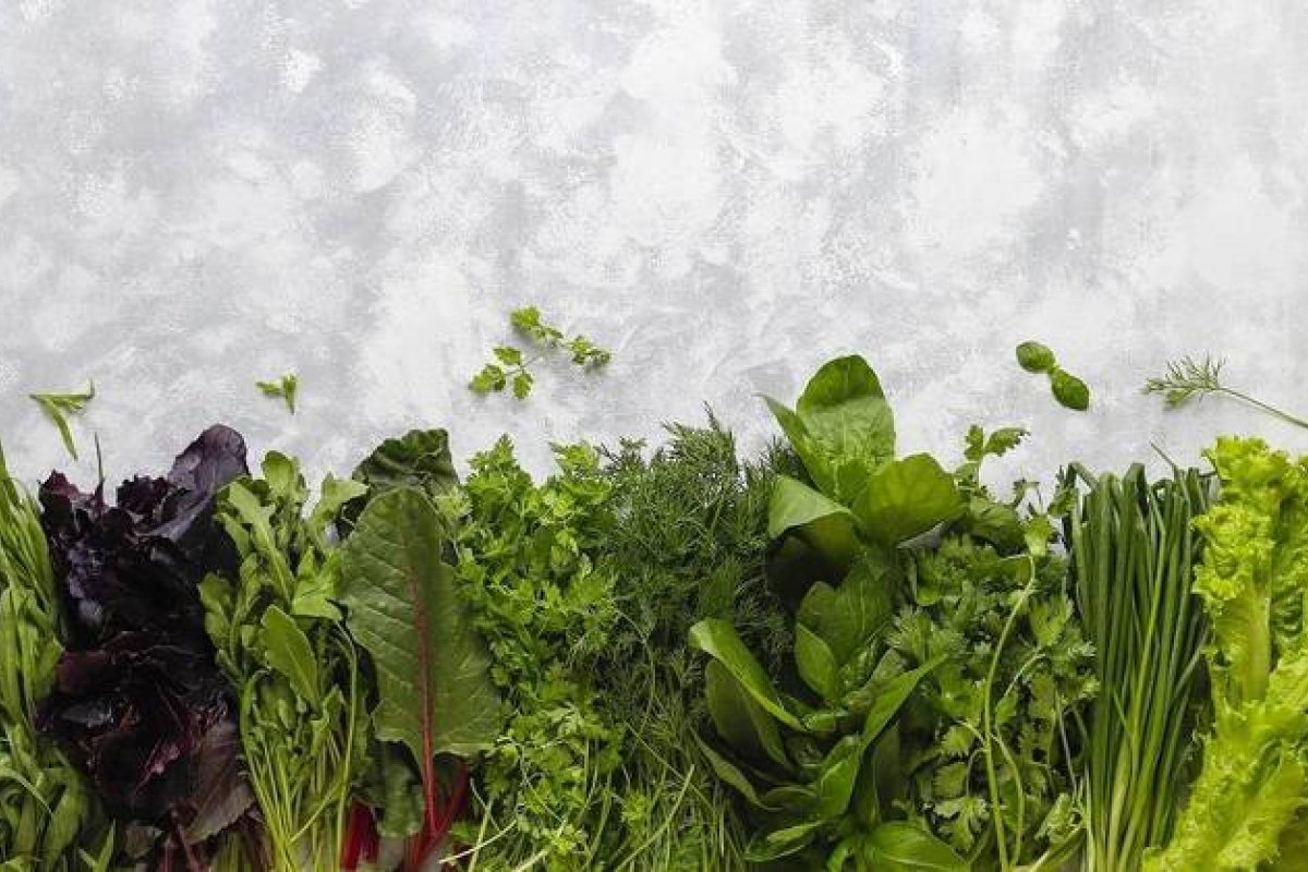 Estudos indicam que vitamina K pode proteger contra demência