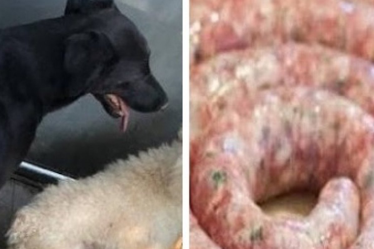 Fábrica é fechada por suposta produção de linguiça com carne de cães e gatos