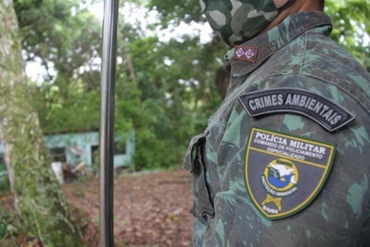 Em feira de Simões Filho, quatro homens são presos com 120 aves silvestres