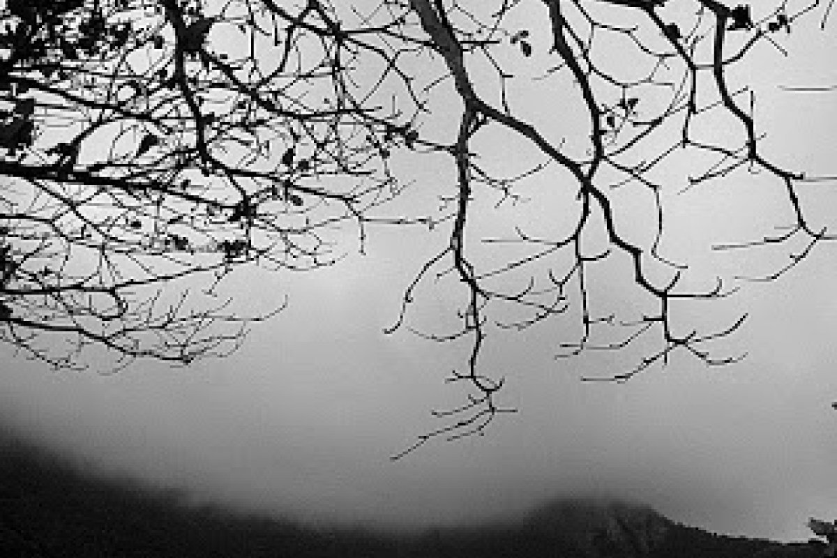 Atriz que foi sucesso nas novelas da TV Globo quer que amigos cheirem suas cinzas após a morte