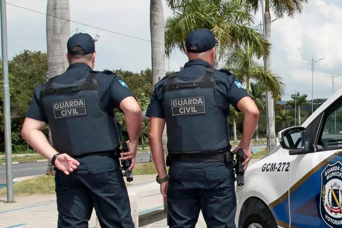 Guardas Municipais encontram Guaxinim na cidade do norte da Bahia; animal morre após tentativa de resgate