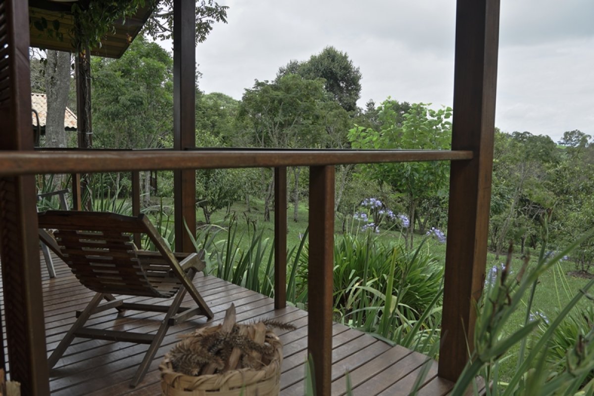 20ª Festa do Pinhão de Cunha começa em 21 de abril