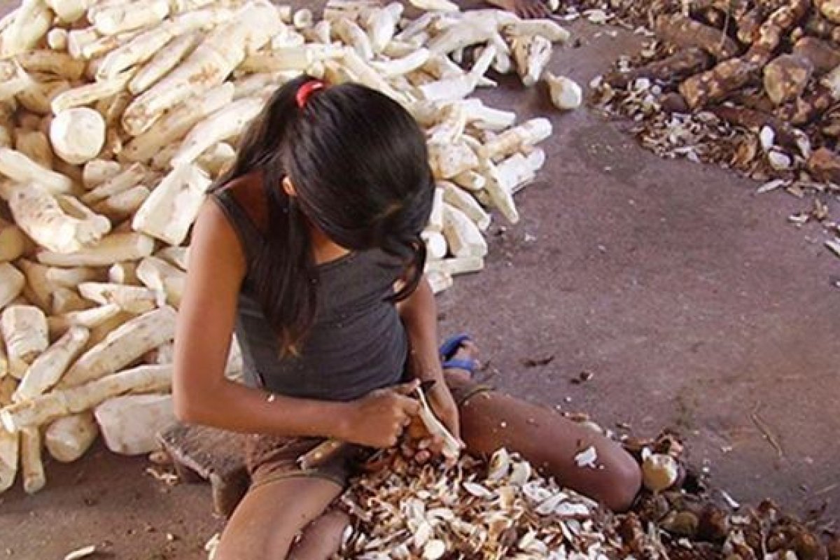 Quase 5,7 milhões de crianças brasileiras exercem algum tipo de trabalho infantil, aponta estudo