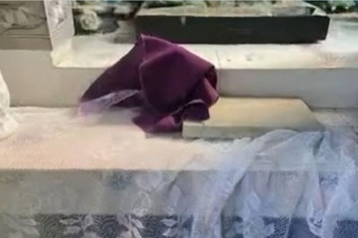 Paróquia é invadida, roubada e vandalizada em Feira de Santana, no interior da Bahia