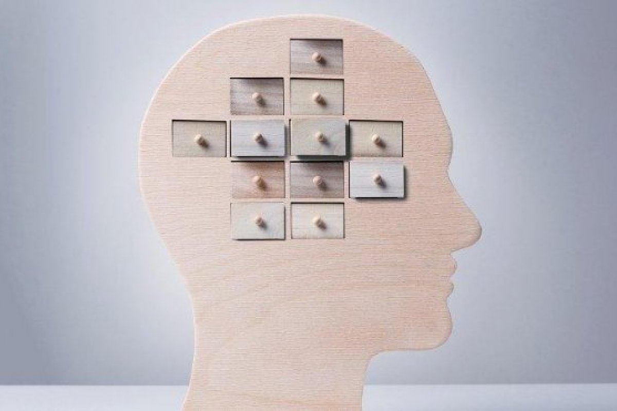 Raciocínio rápido e boa memória de longo prazo podem ser sinais de superinteligência, aponta entidade mundial