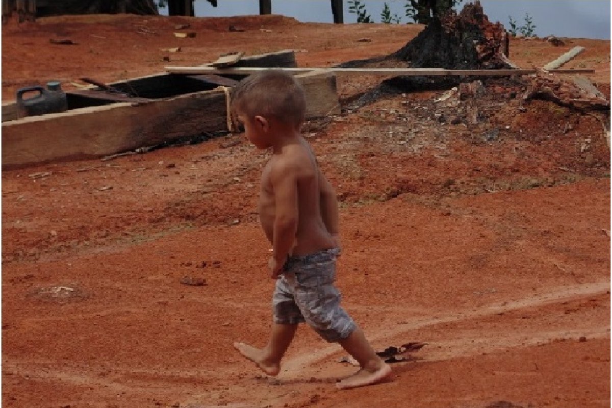Consumo de carne de caça pode reduzir anemia em crianças da floresta amazônica, indica estudo