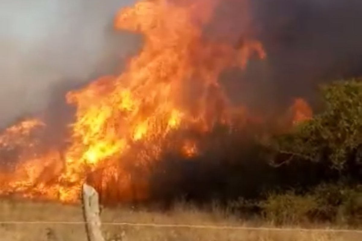 Incêndio em Abaré é debelado, diz Defesa Civil