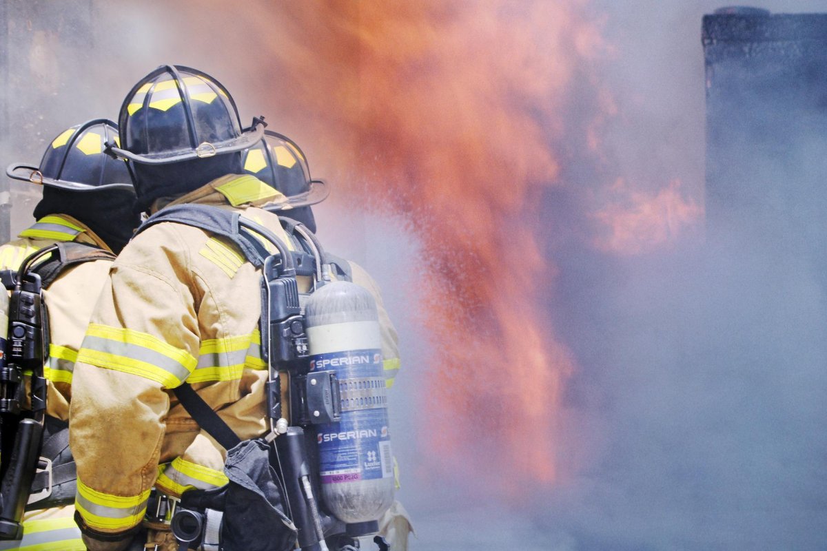 Canadá: garoto de 3 anos apresenta currículo para Corpo de Bombeiros e garante emprego para 2034