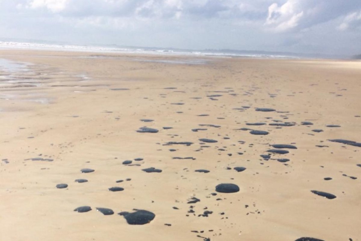 Sobe para 14 o número de municípios baianos contaminados pelo óleo