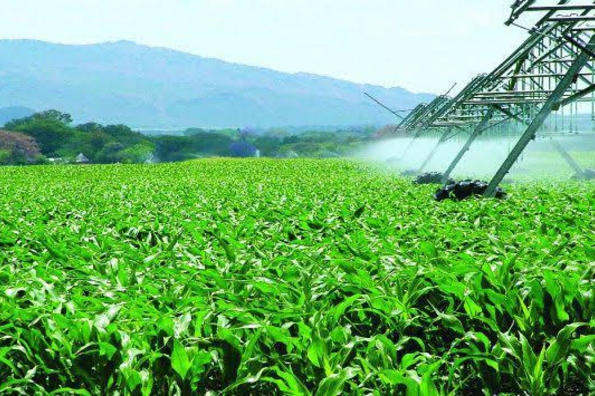 Guerra entre Rússia e Ucrânia faz preço dos fertilizantes subir até 32%, diz CNA