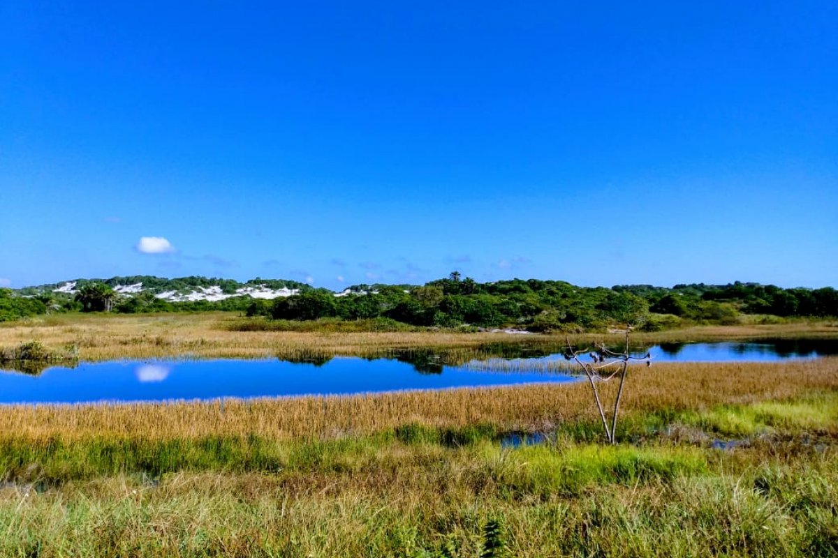 IPAC inicia processo de tombamento do Parque das Dunas, em Salvador