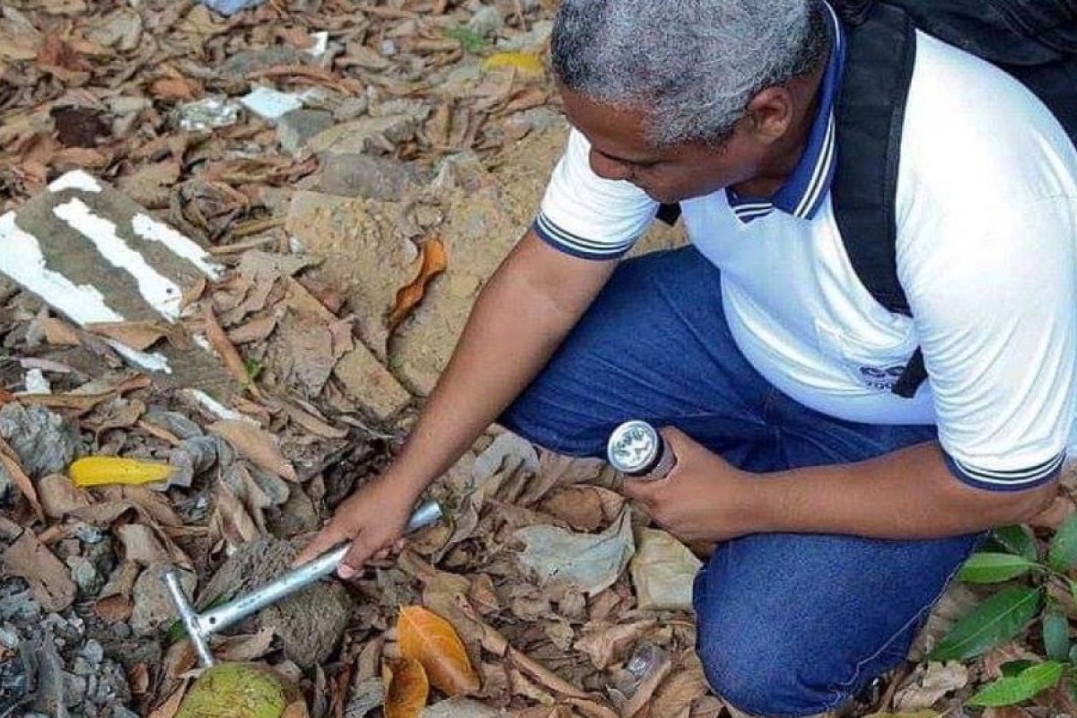 Casos de dengue caem em 4,6% na Bahia, aponta Sesab