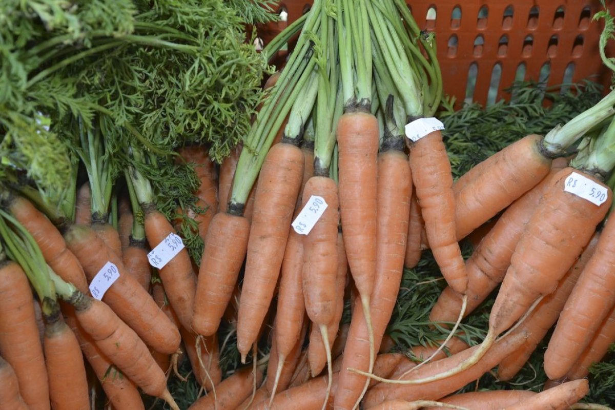 IPCA-15: Veja os 50 itens que tiveram maior aumento de preço nos últimos 12 meses