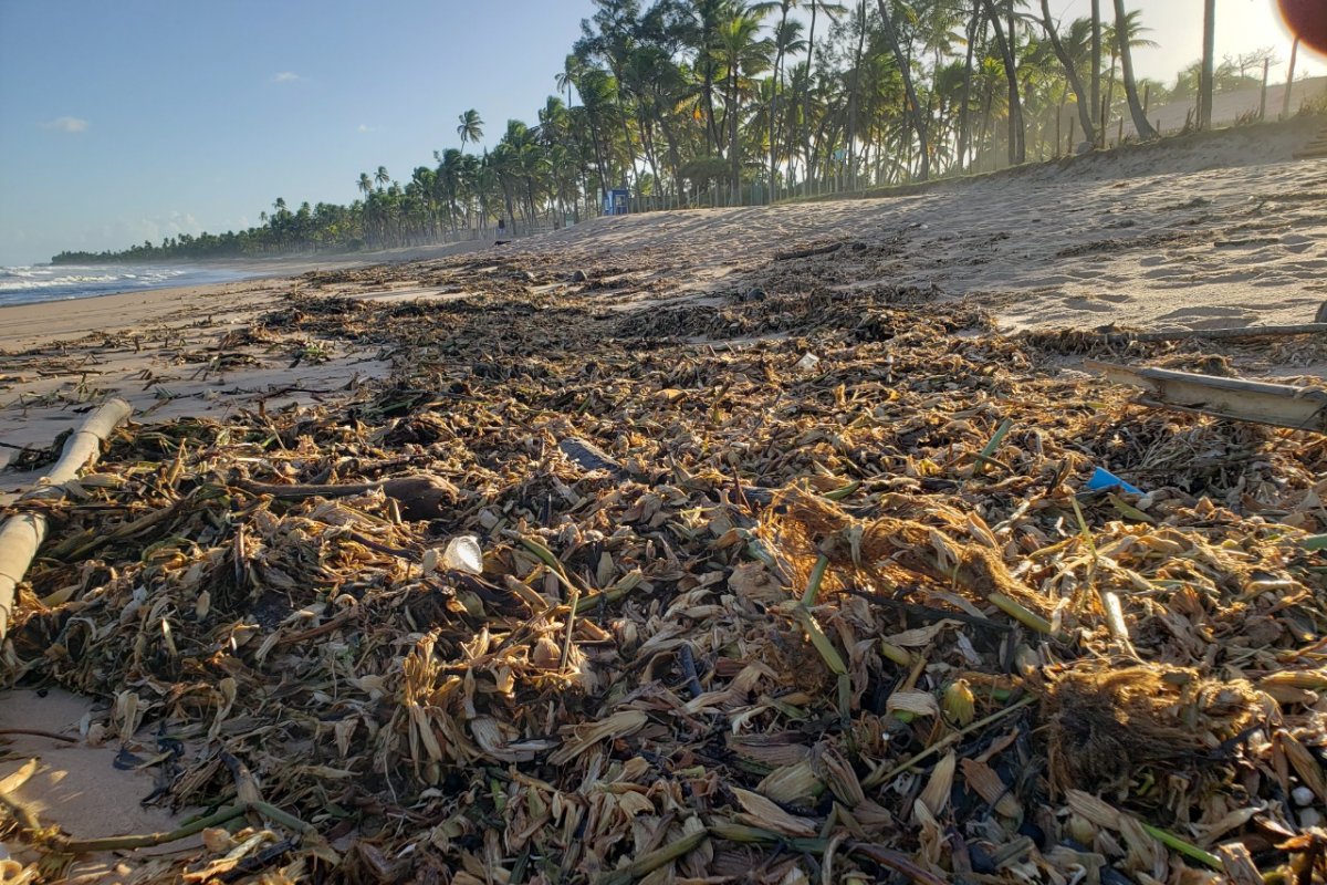 Moradores de Busca Vida pedem ajuda ao Poder Público após cenário de devastação ambiental provocado pelas fortes chuvas na região