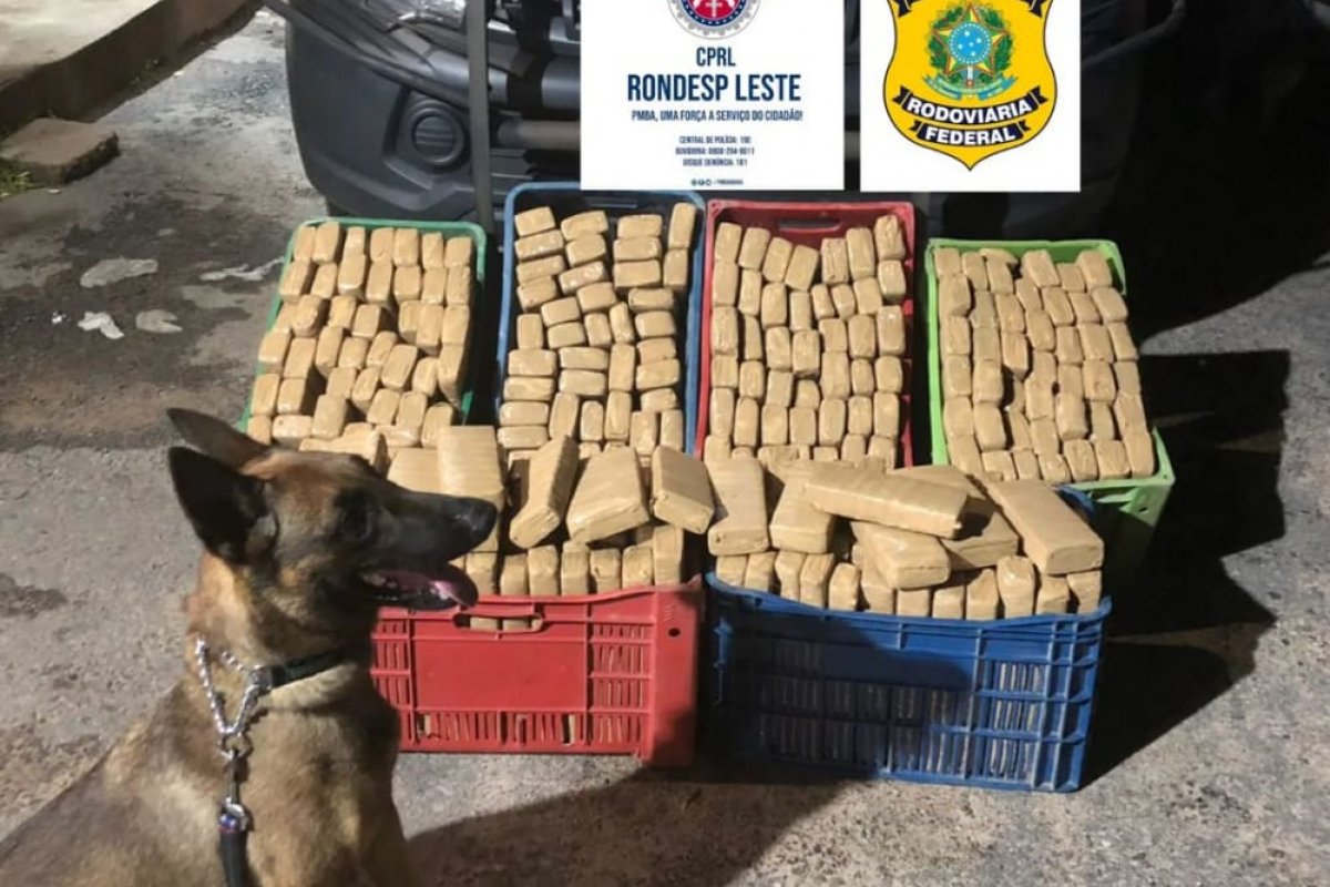 Operação conjunta: PM e PRF apreende 160 kg de maconha