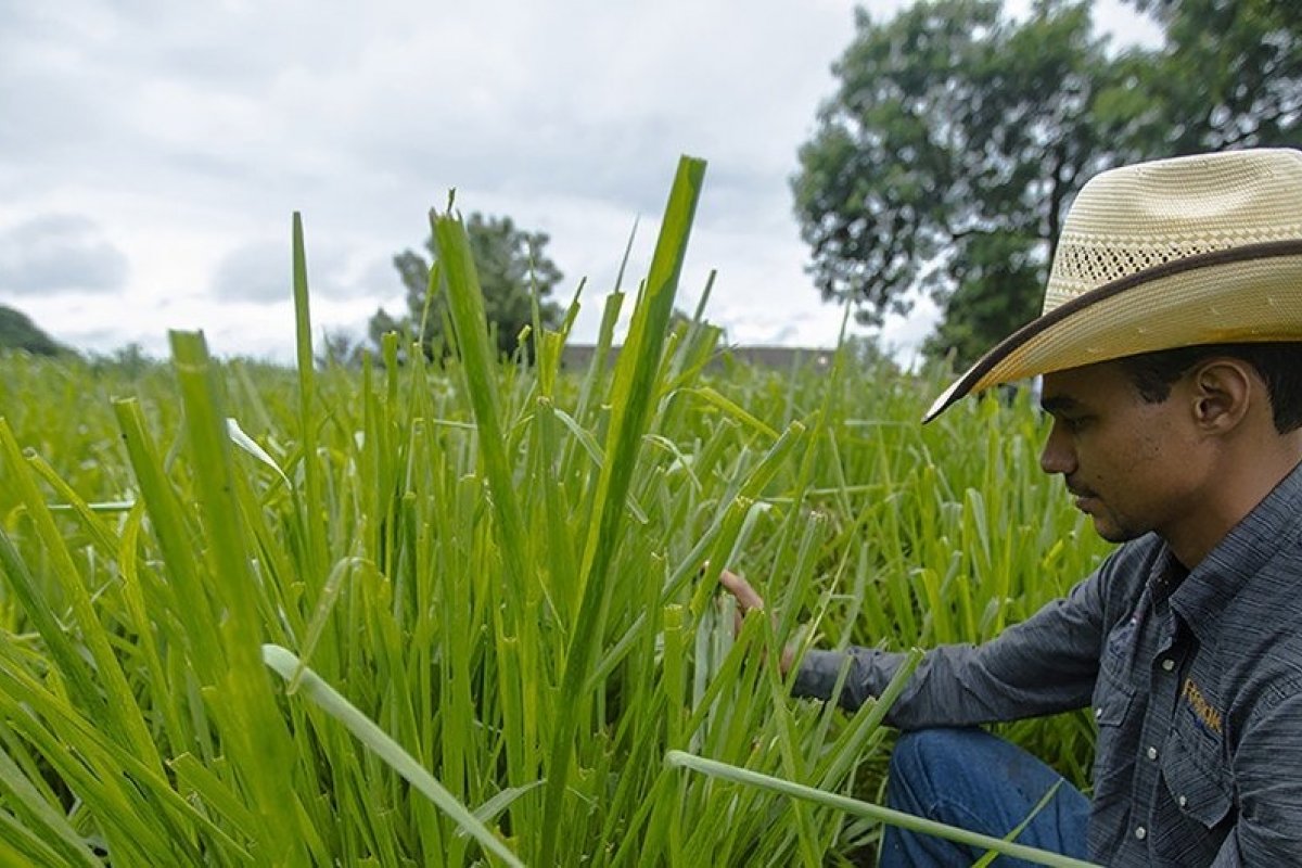 Banco Mundial destina US$ 500 milhões a Goiás para reforçar setor agrícola