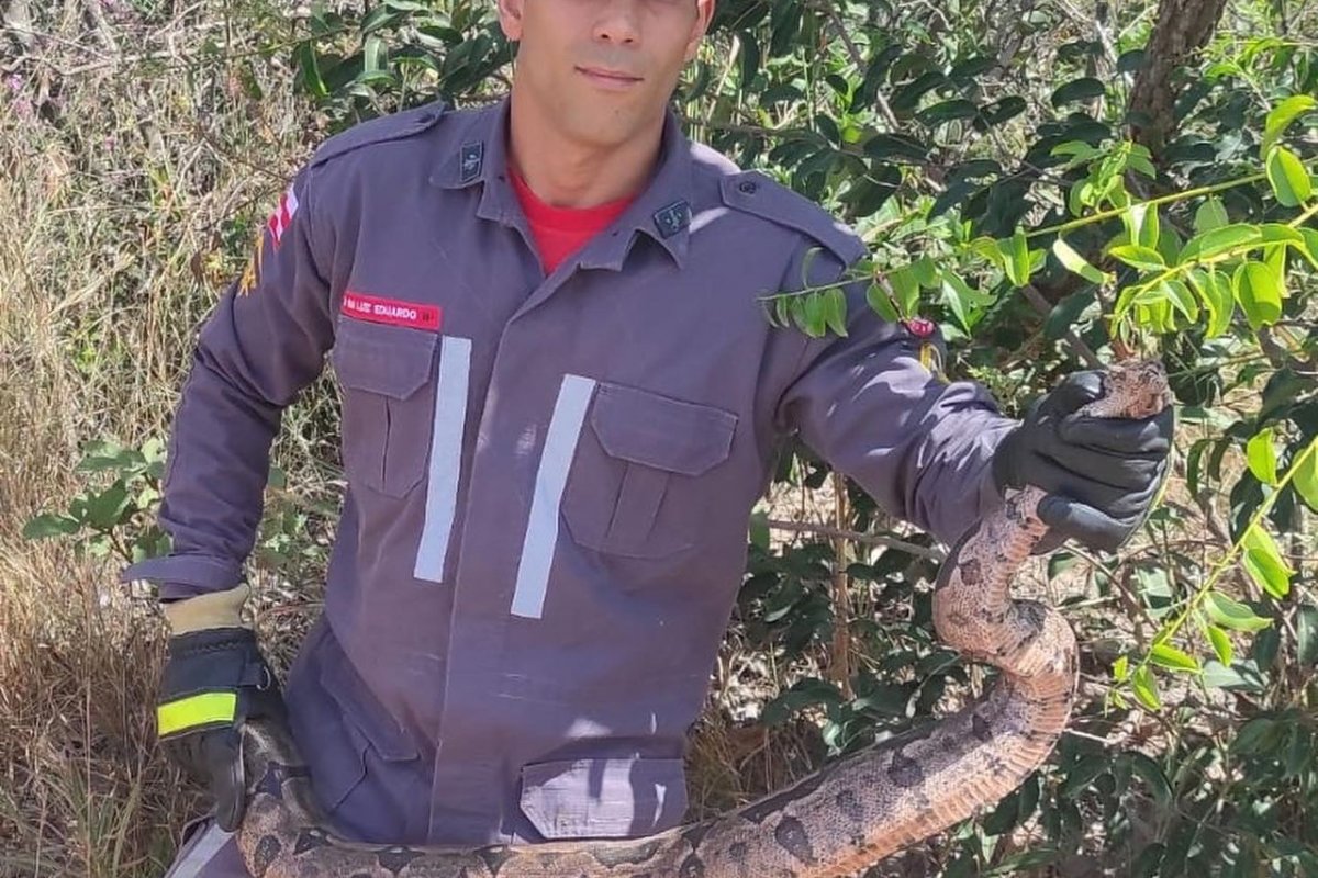 Bombeiros resgatam jiboia no telhado de oficina em Luís Eduardo Magalhães (BA)