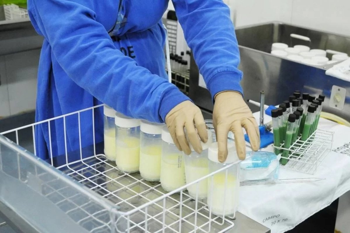 Mês das mães alerta para importância dos bancos de leite humano