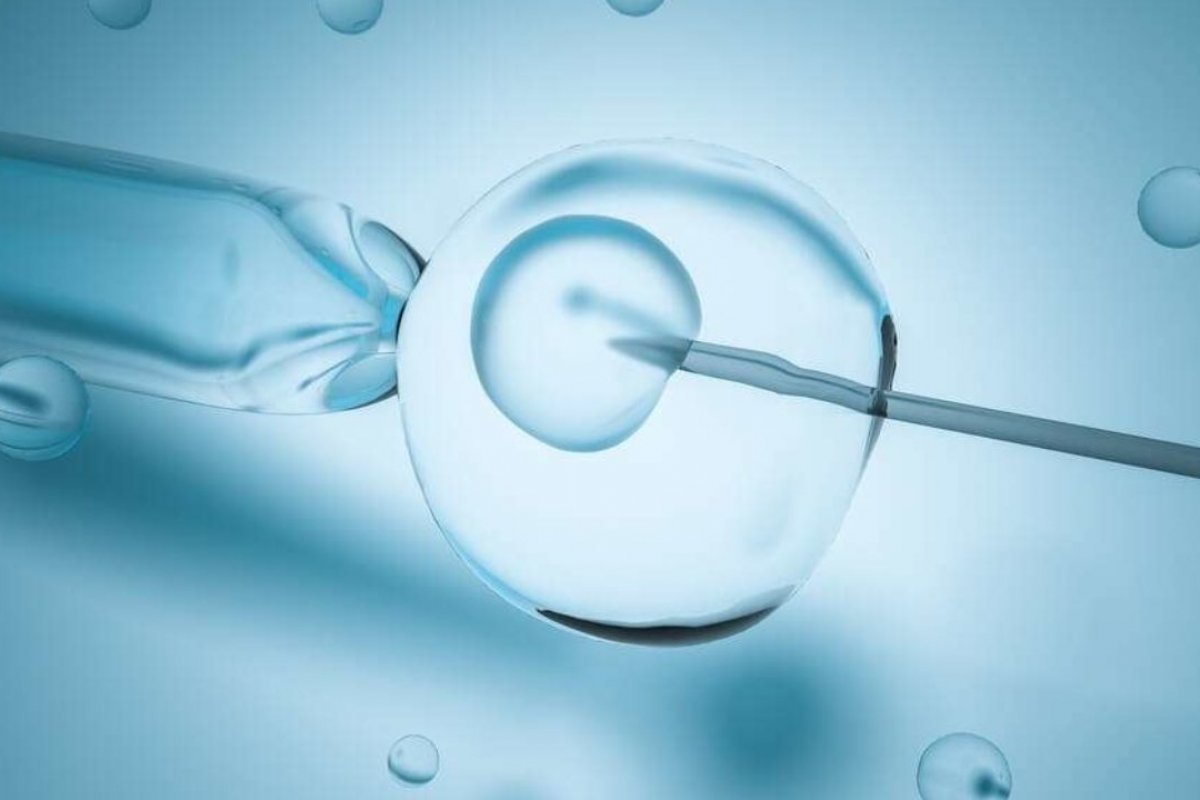 TJ-BA decide que plano de saúde deverá custear fertilização in vitro