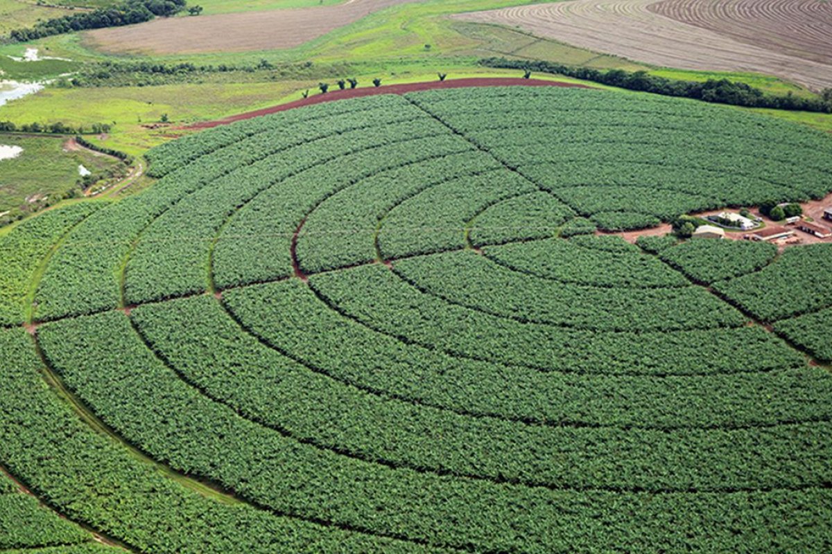 Brasil tem crescimento de crédito rural