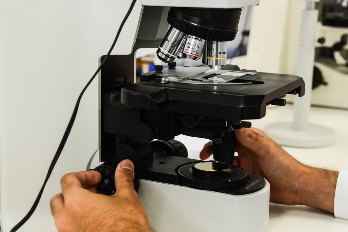 Anvisa aprova novo tratamento da Pfizer para câncer de mama