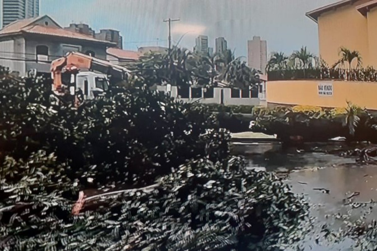 Forte chuva derruba árvore no bairro de Caminho das Árvores em Salvador