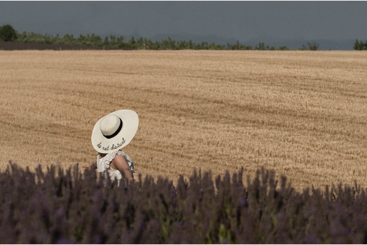 Integração da agricultura e meio ambiente