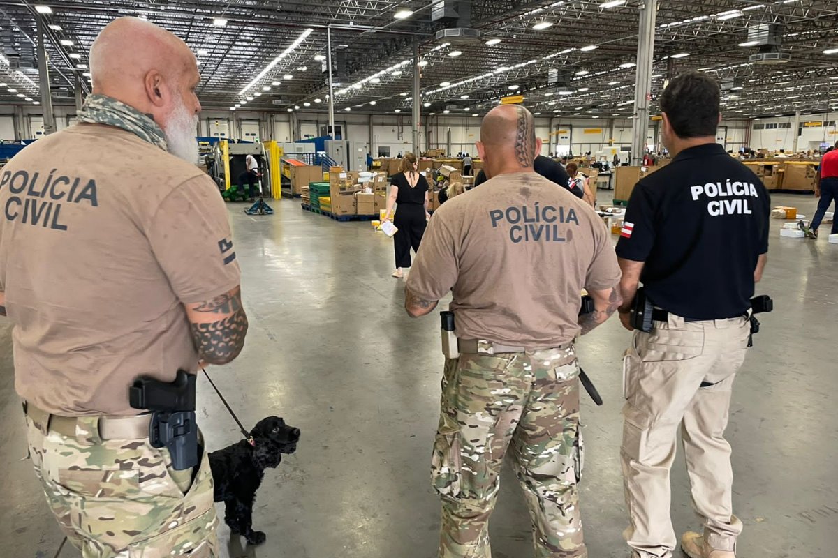 Draco e COE apreendem R$ 500 mil em drogas dentro de encomendas dos Correios