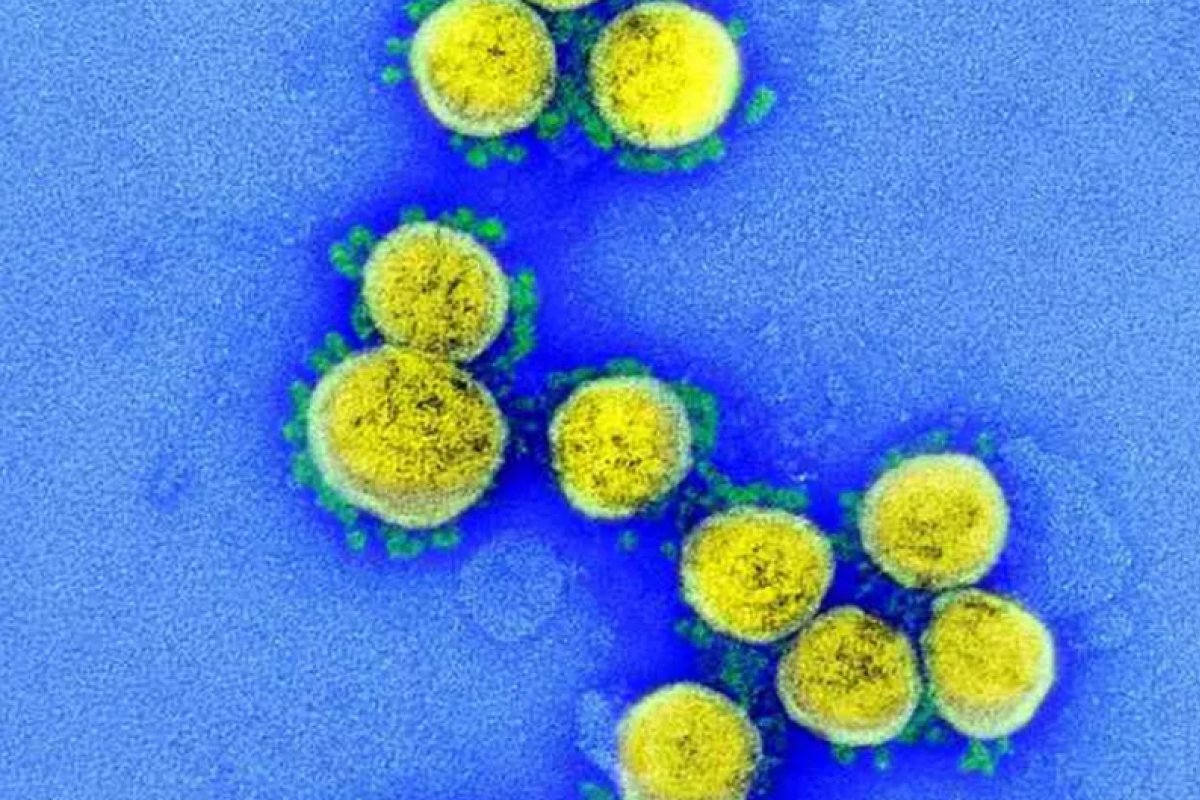 CTVacinas detecta nova linhagem da variante Ômicron no Brasil