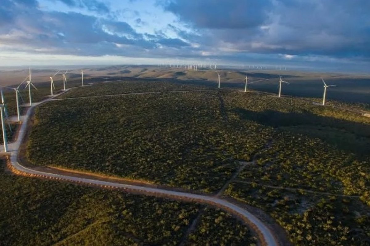 Bahia retoma primeiro lugar no Brasil na geração de energia eólica, diz SDE