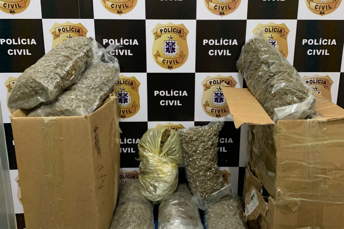 Polícia Civil desarticula esquema de tráfico interestadual em Vitória da Conquista