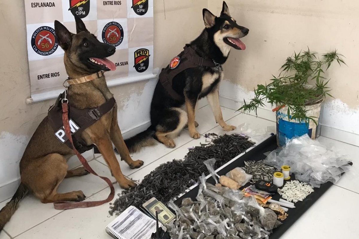 Dois homens são presos por tráfico de drogas descoberto por duas cadelas da PM