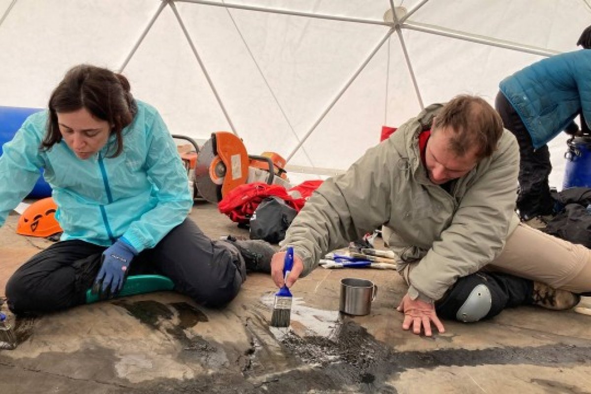 Paleontólogos chilenos encontram fóssil intacto de dinossauro grávida